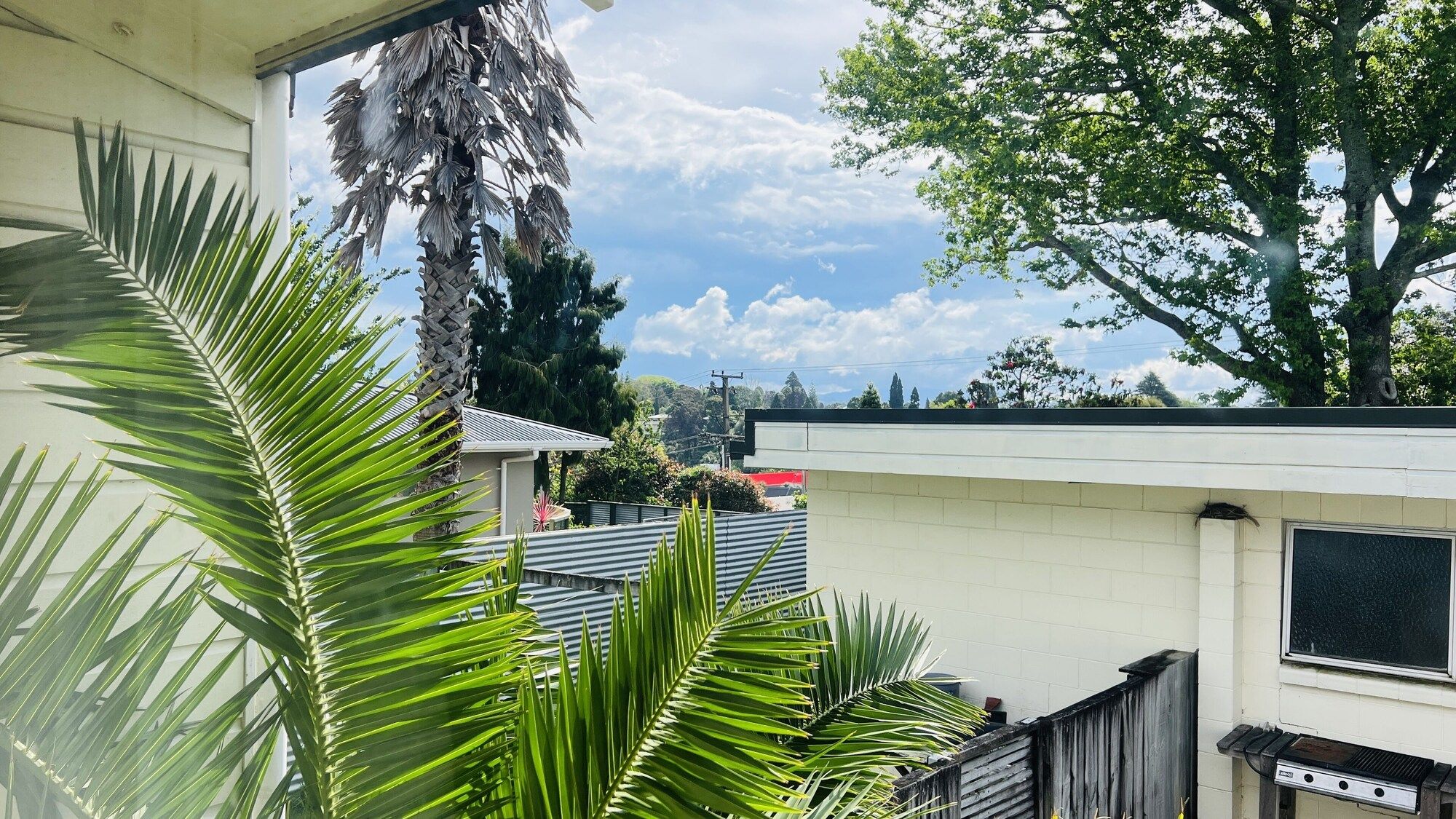 المظهر الخارجي