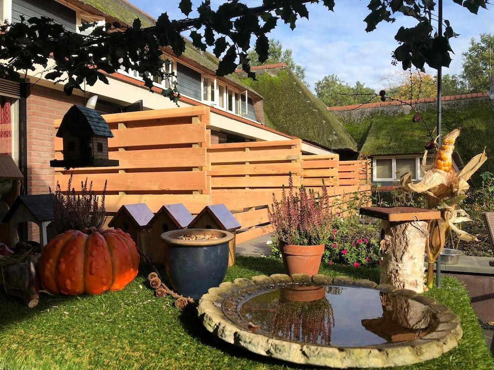 المظهر الخارجي