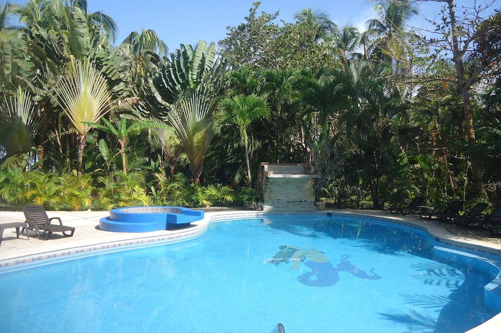 حوض السباحة