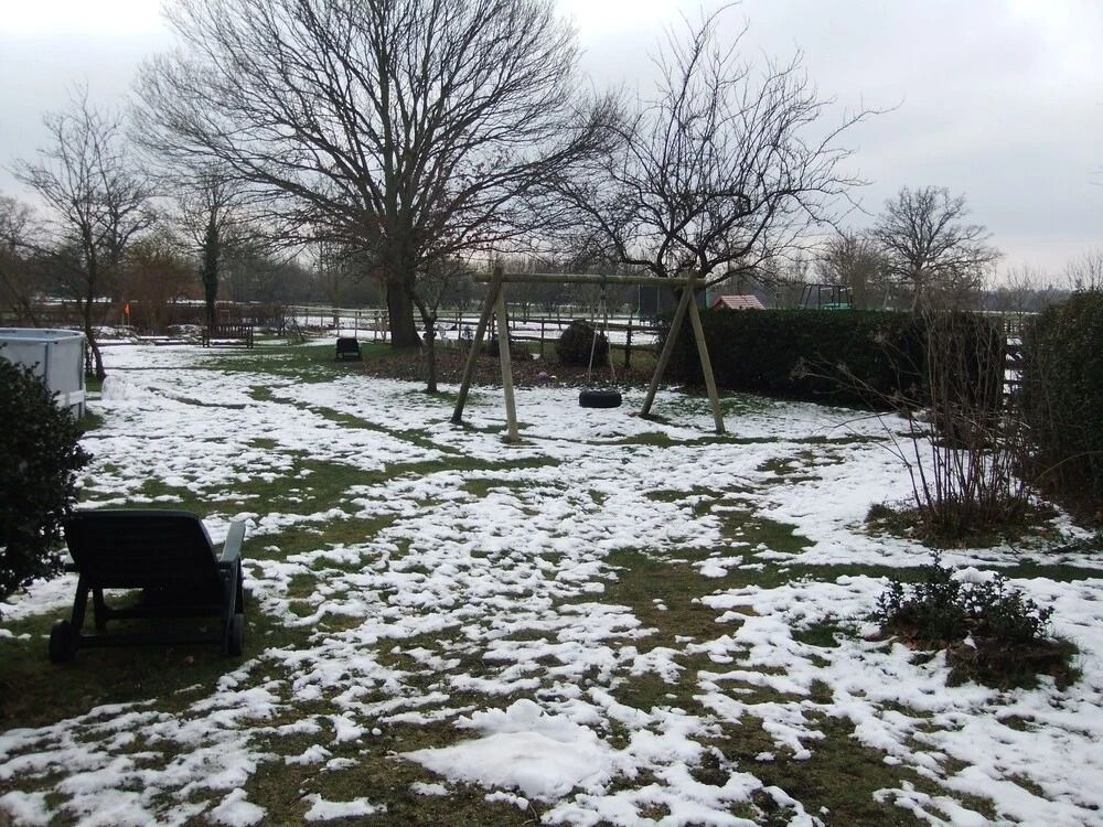 المظهر الخارجي