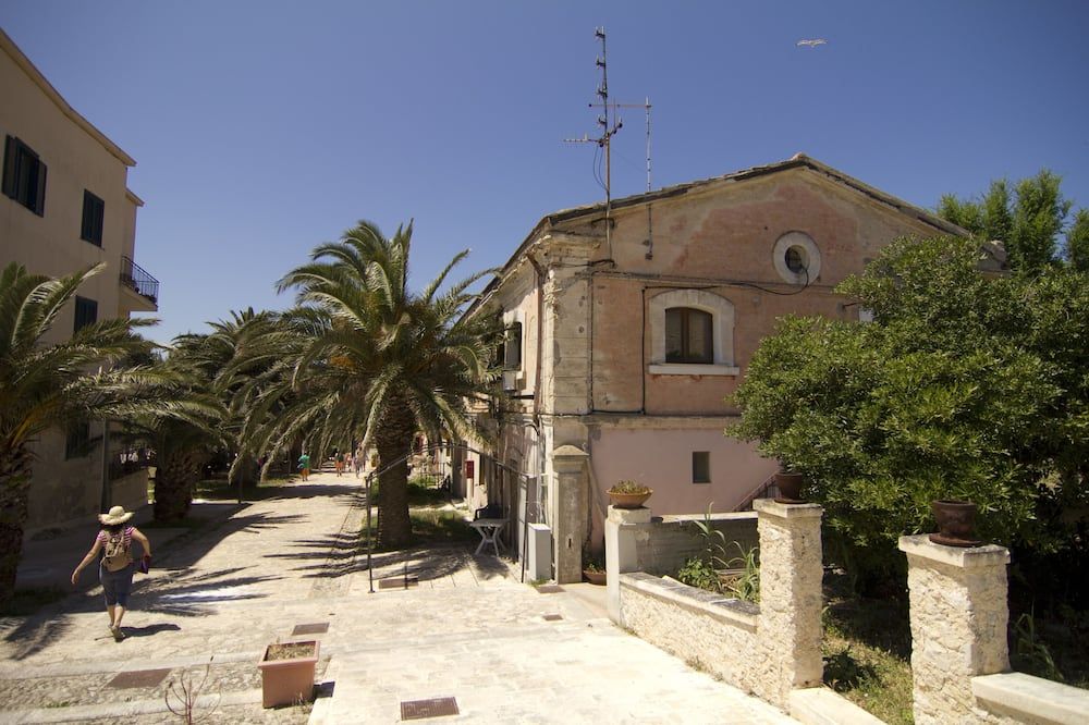 المظهر الخارجي