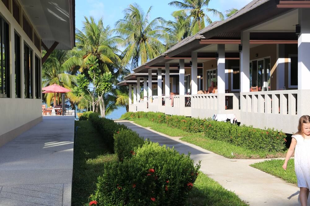 المظهر الخارجي