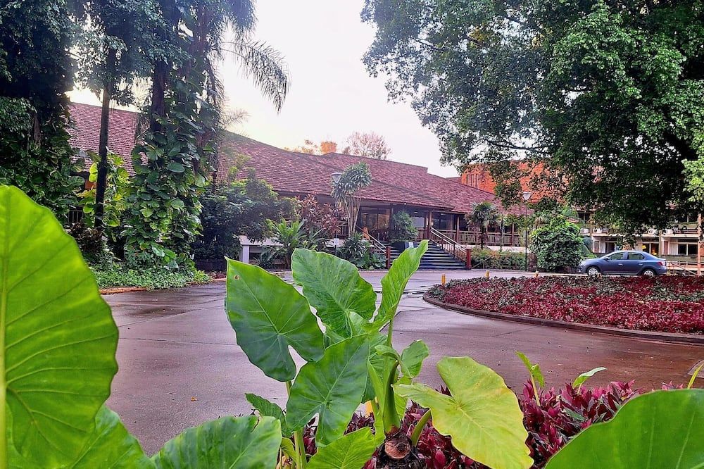 المظهر الخارجي
