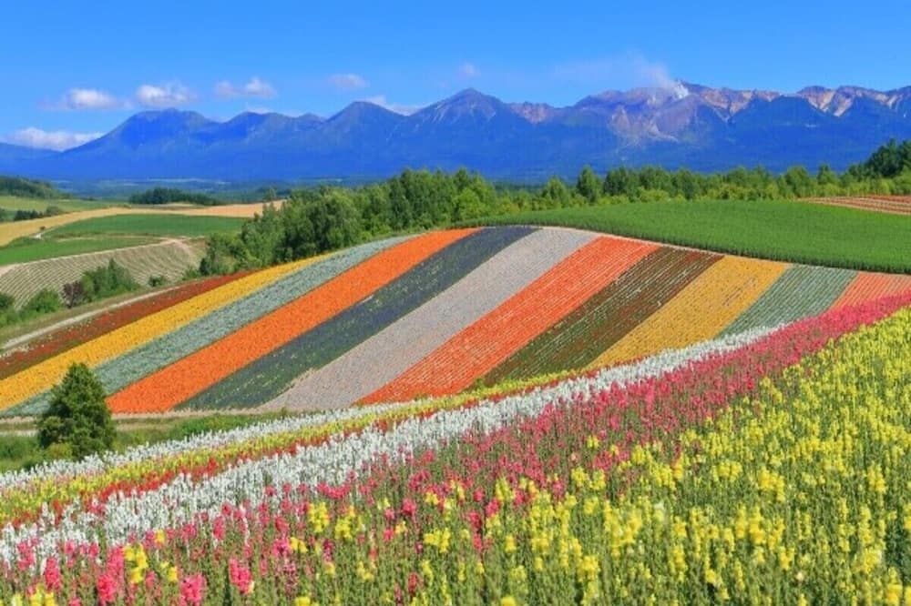 المظهر الخارجي