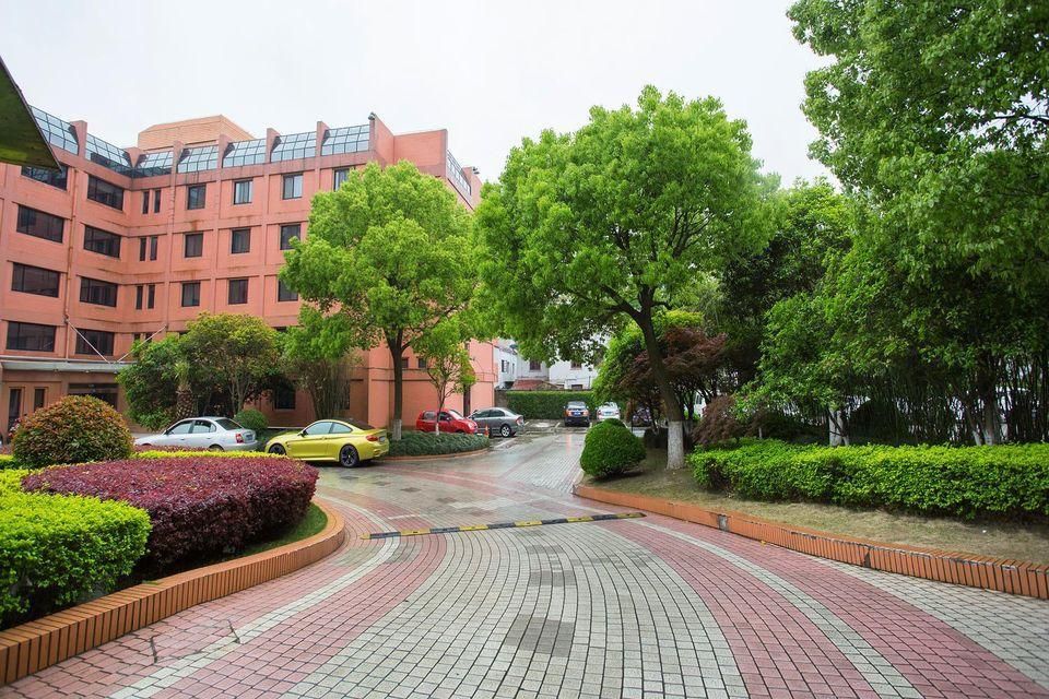 المظهر الخارجي