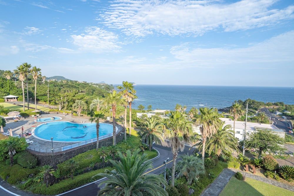 حوض السباحة