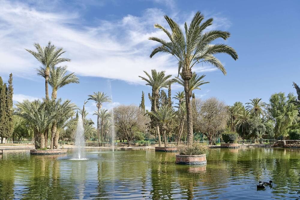 المظهر الخارجي