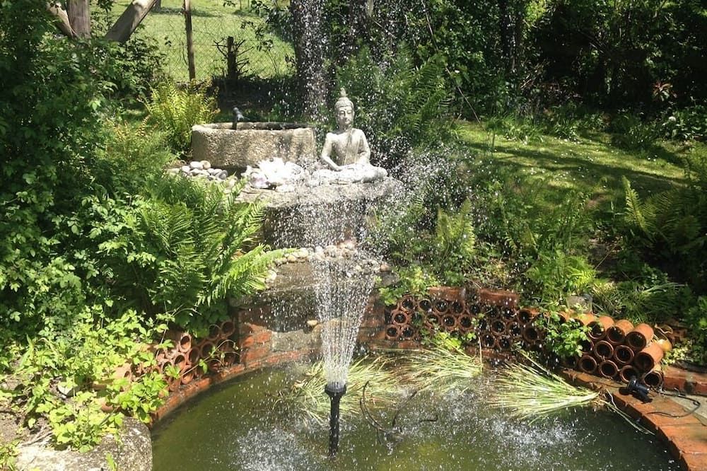 المظهر الخارجي