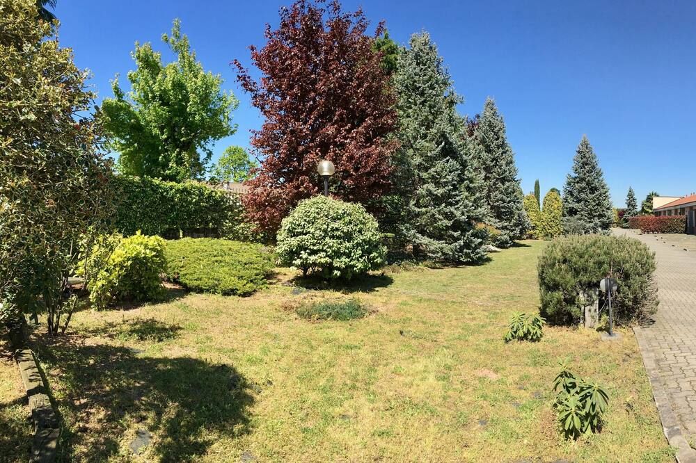 المظهر الخارجي