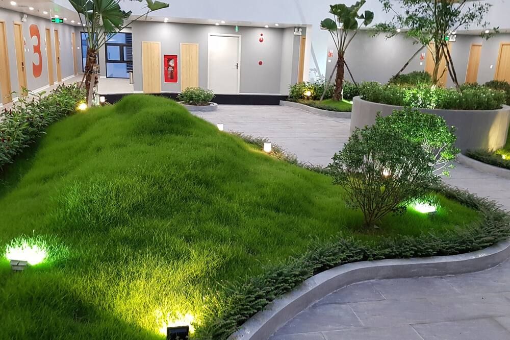 المظهر الخارجي