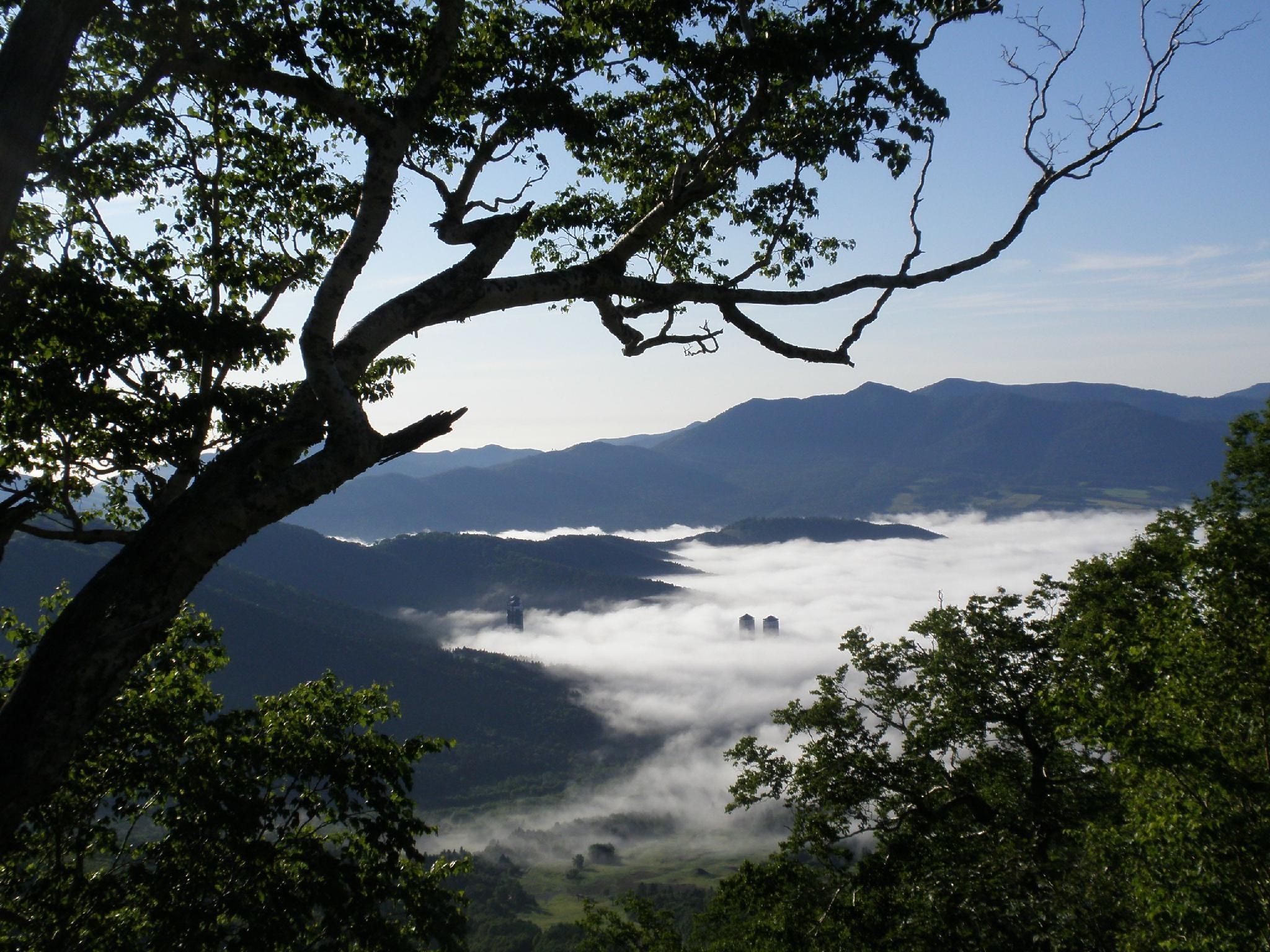 المظهر الخارجي