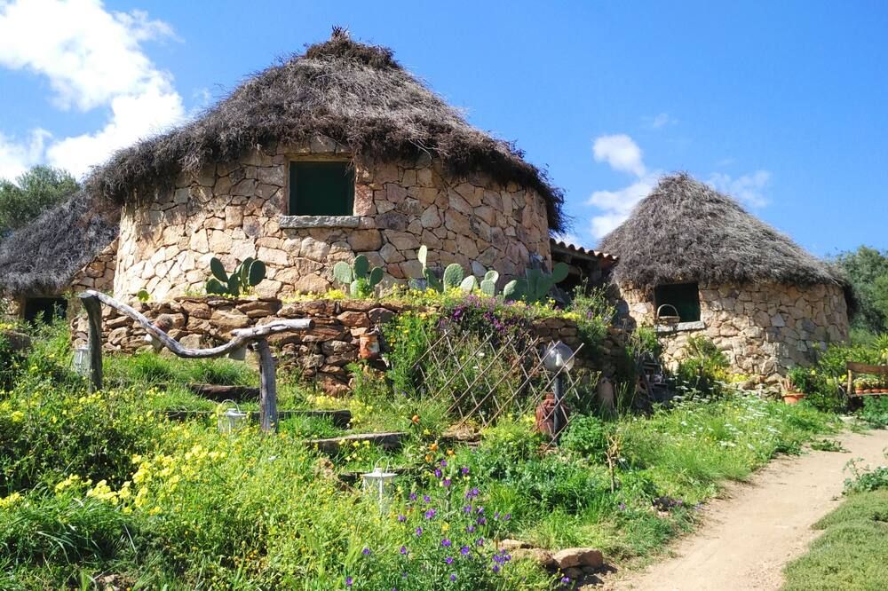 المظهر الخارجي