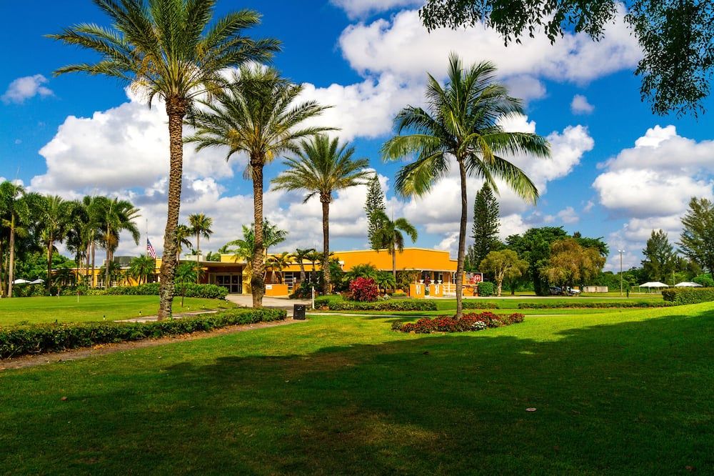 المظهر الخارجي