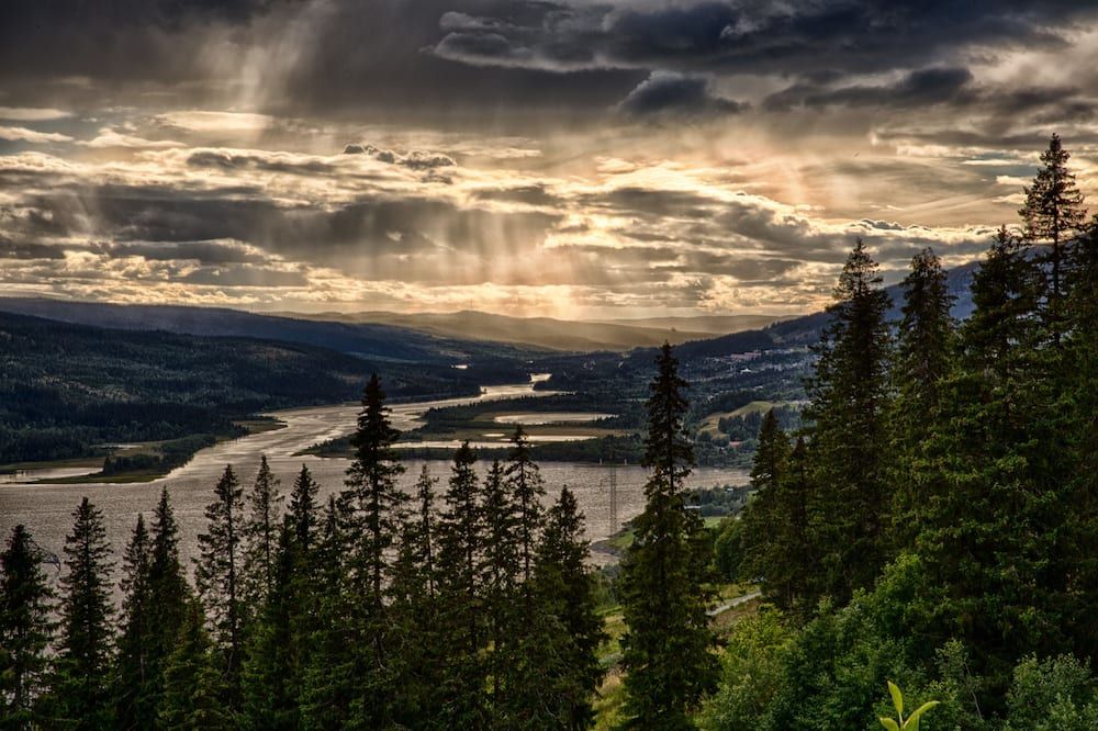 المظهر الخارجي