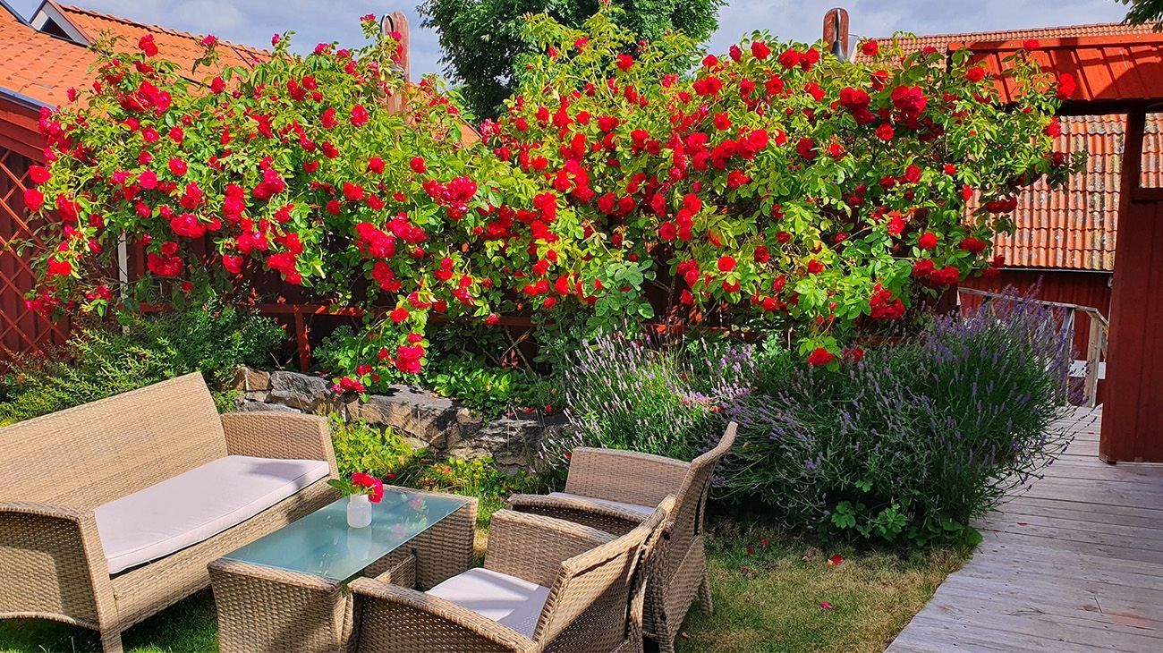 شرفة مرصوفة