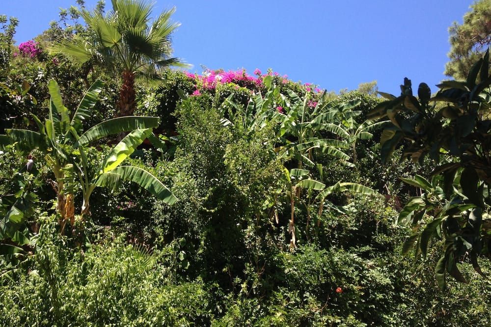 المظهر الخارجي