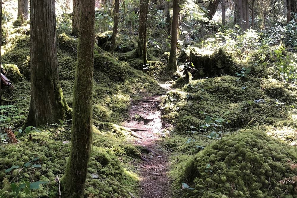 المظهر الخارجي