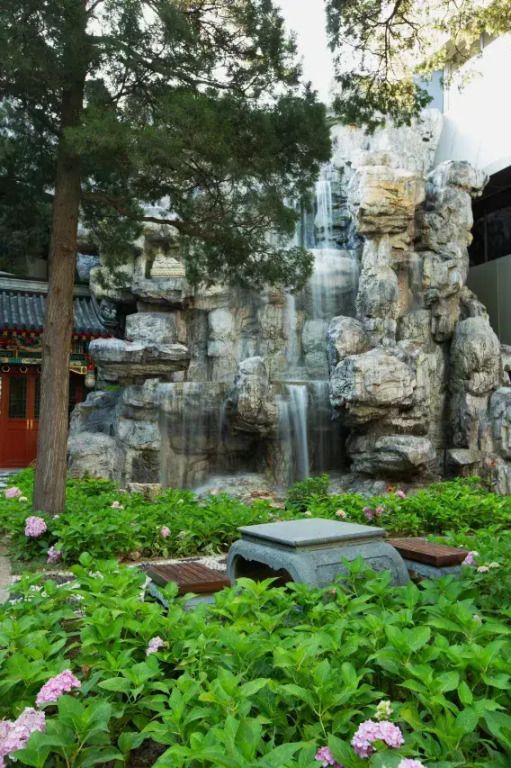 المظهر الخارجي