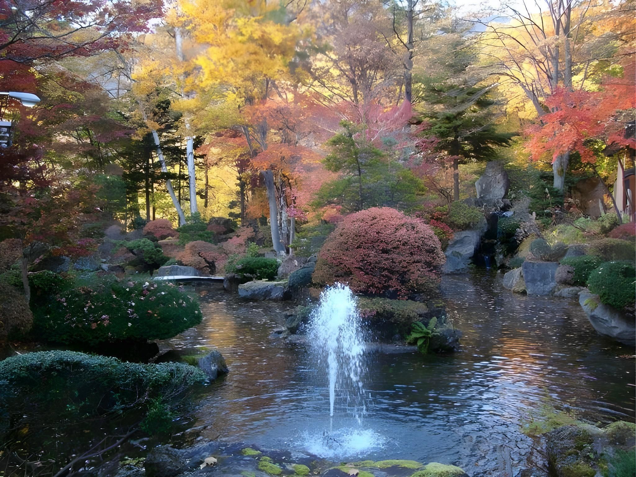 المظهر الخارجي