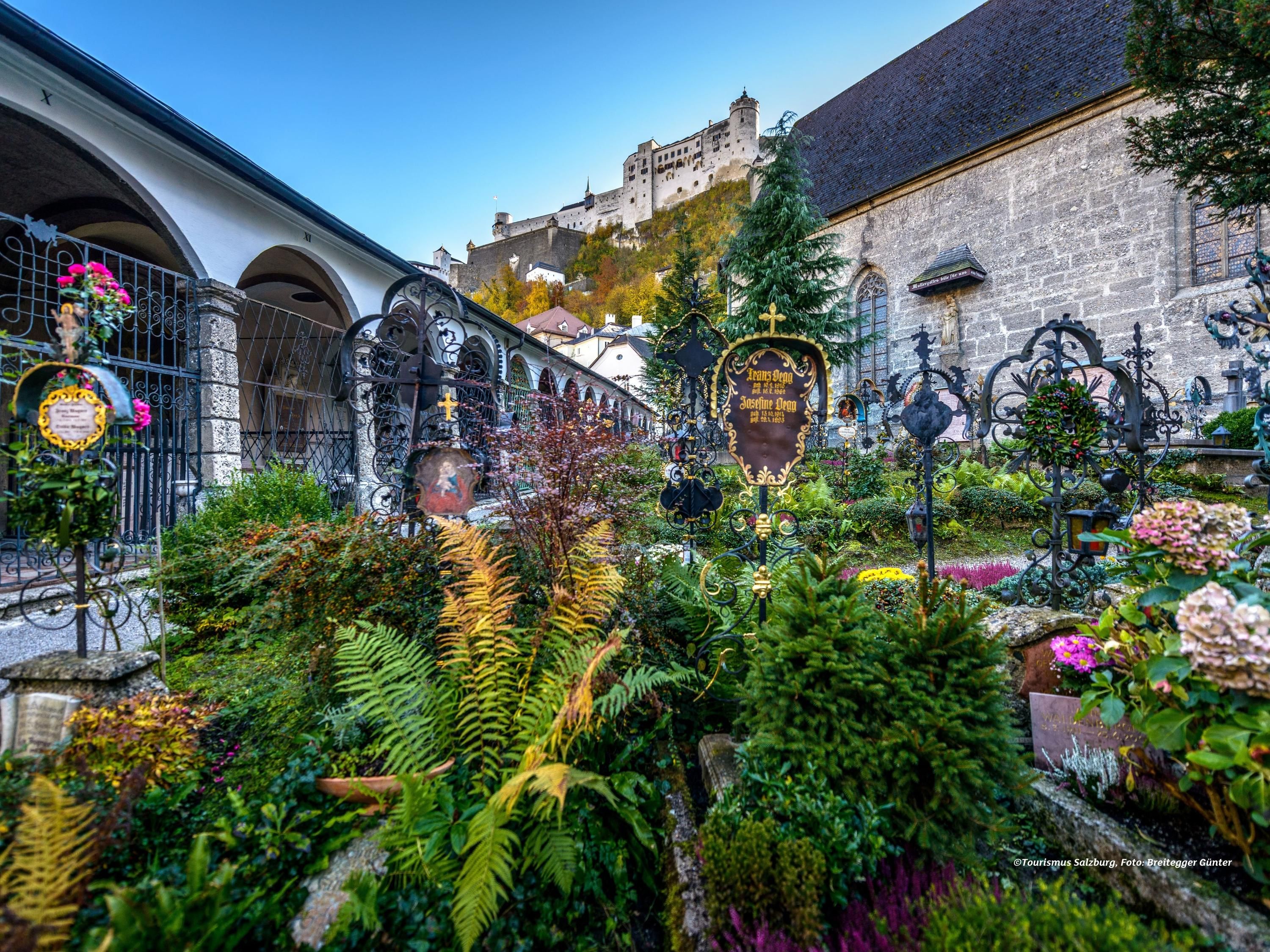 المظهر الخارجي