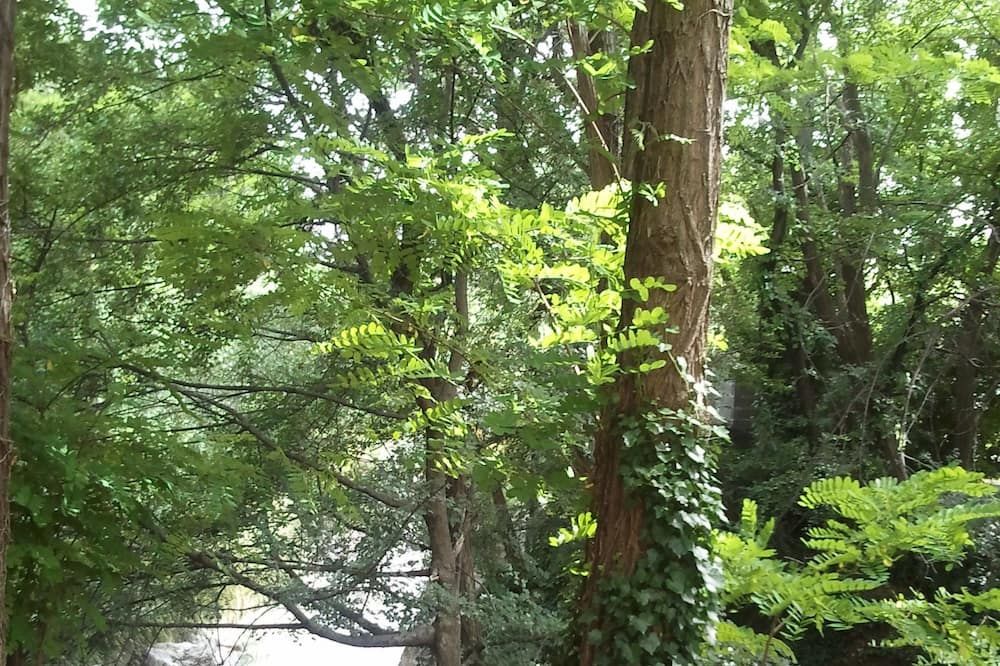 المظهر الخارجي