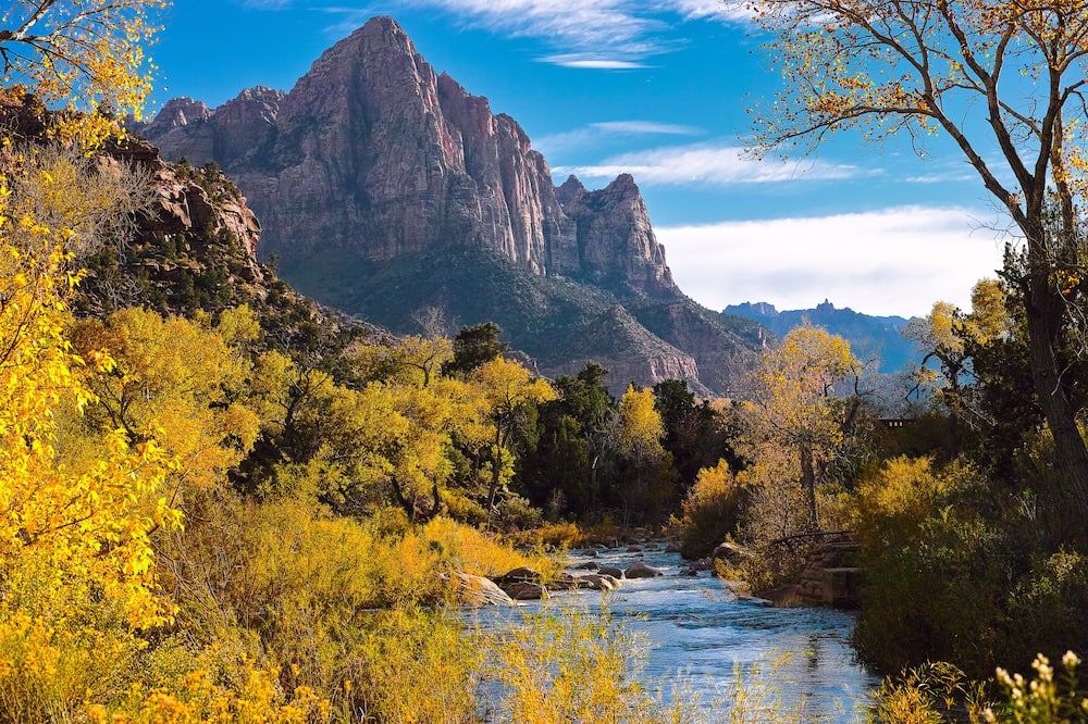 المظهر الخارجي