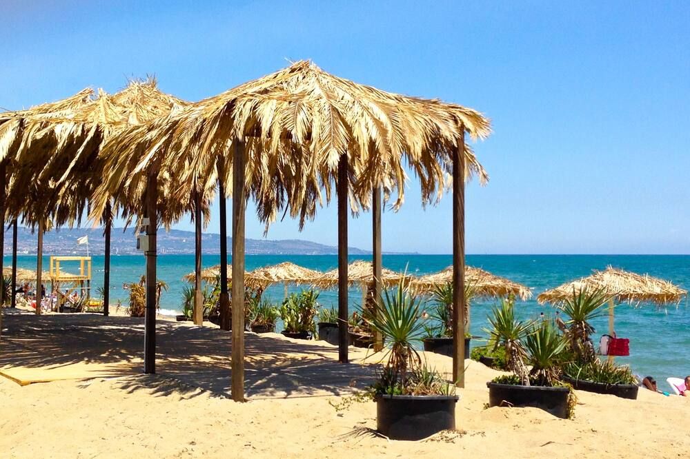 شاطئ صورة
