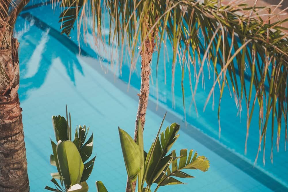 حوض السباحة