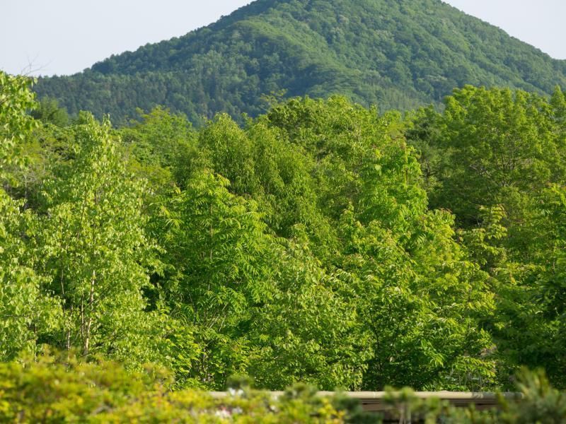 المظهر الخارجي