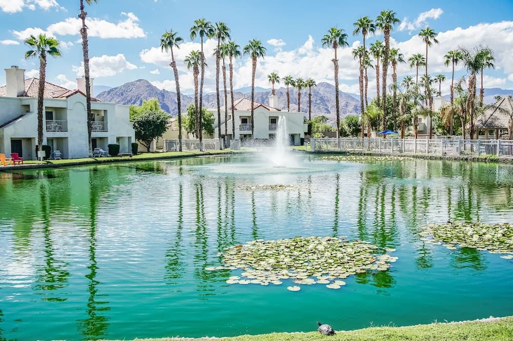 المظهر الخارجي