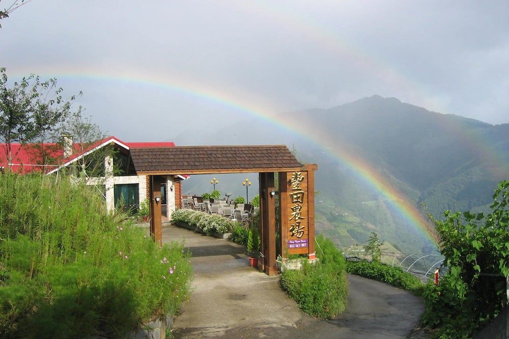 المظهر الخارجي