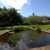 آخر