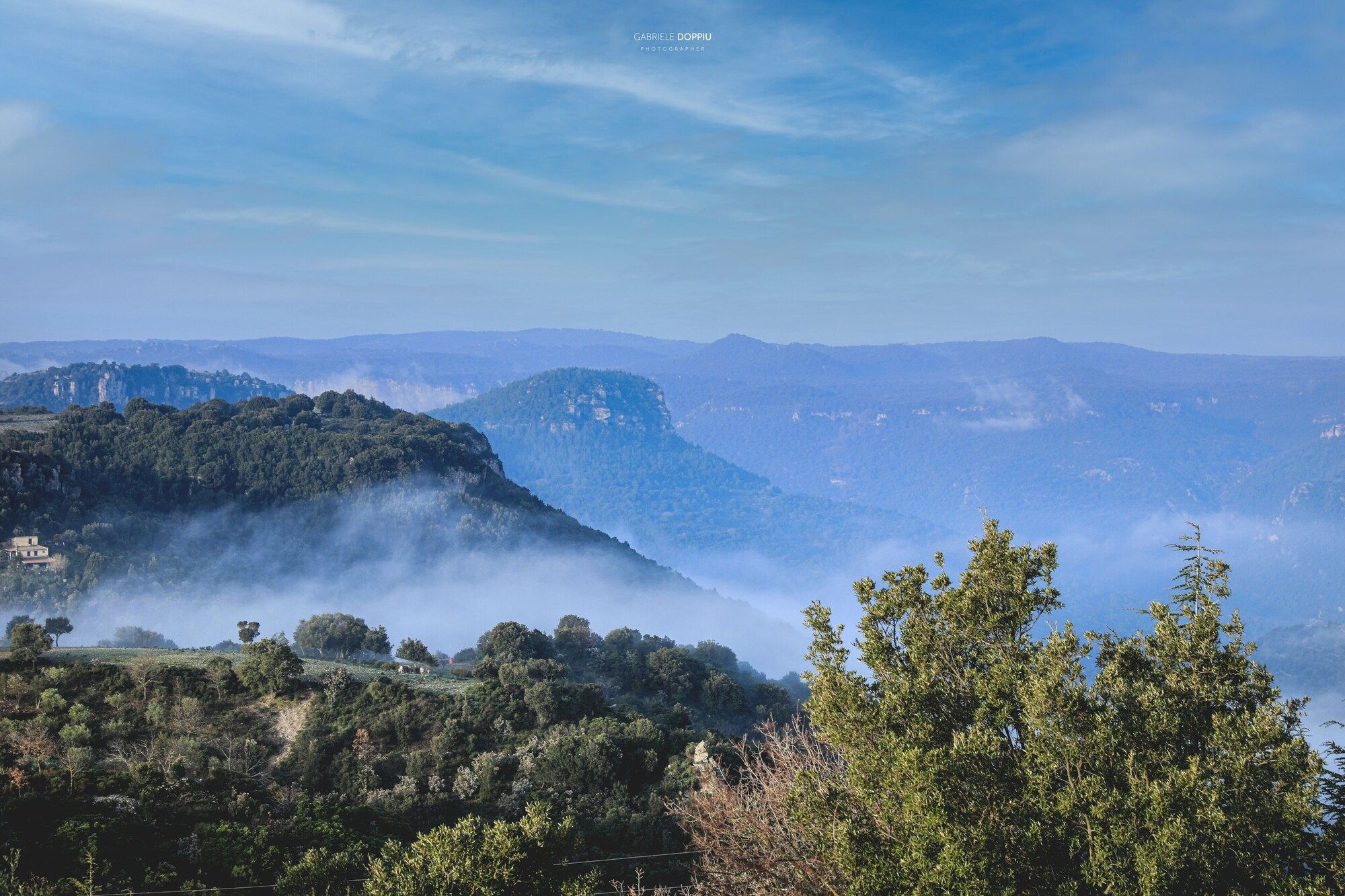المظهر الخارجي