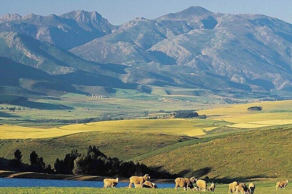 المظهر الخارجي