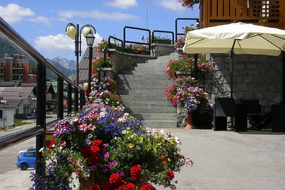 المظهر الخارجي