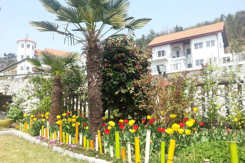 المظهر الخارجي