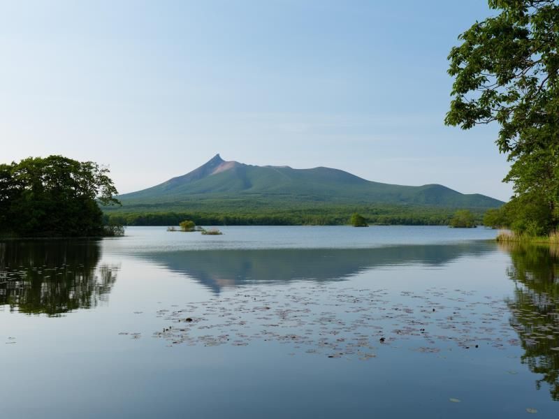 المظهر الخارجي
