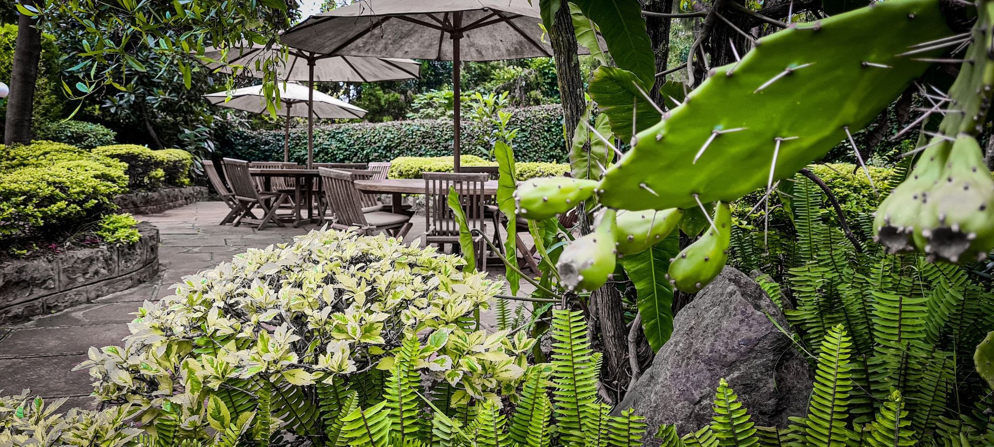 شرفة مرصوفة صورة