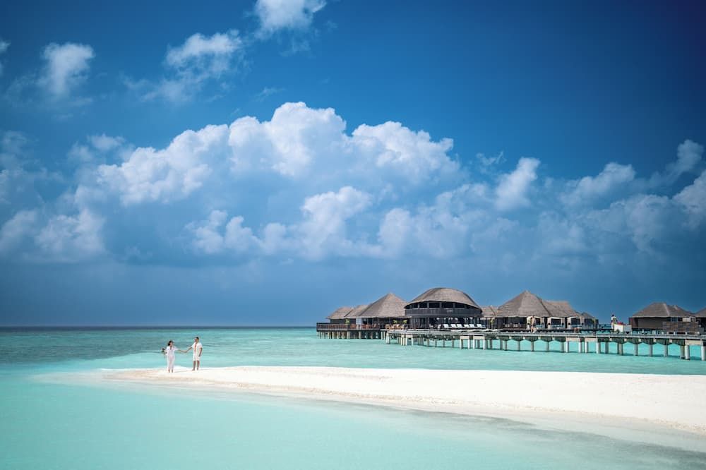 شاطئ صورة