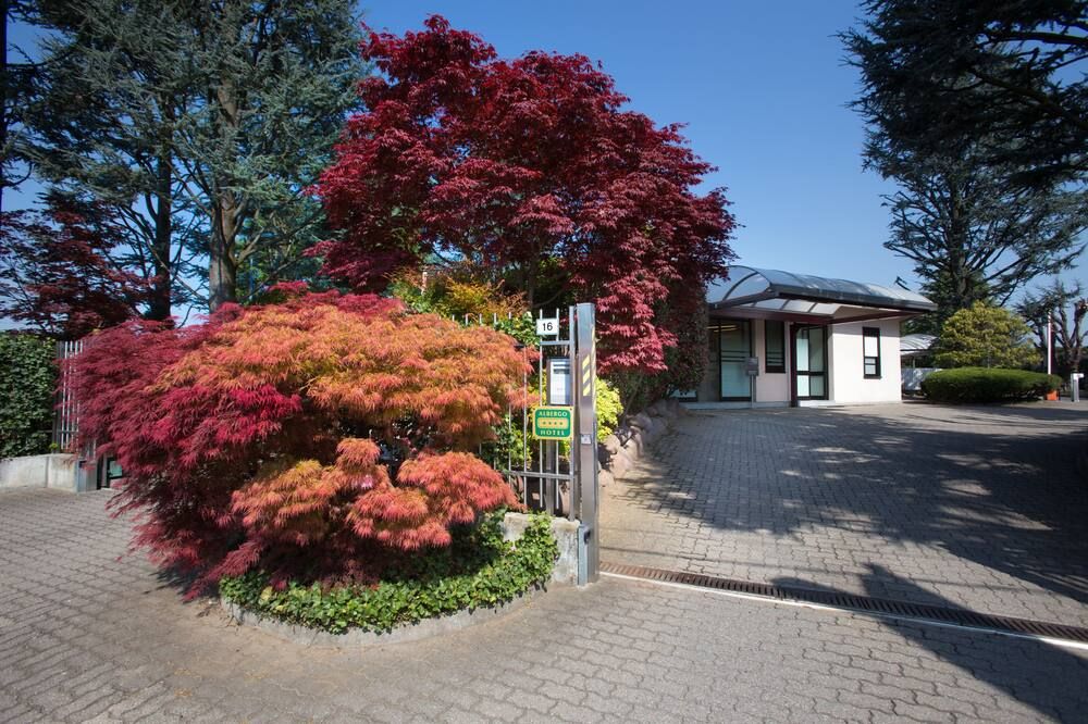 المظهر الخارجي