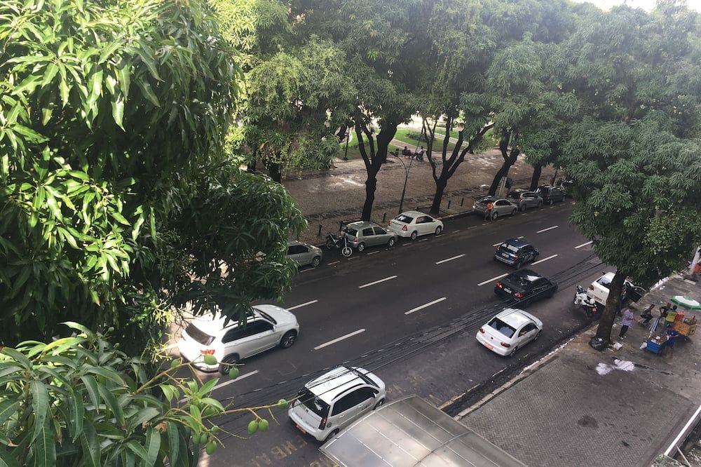 المظهر الخارجي