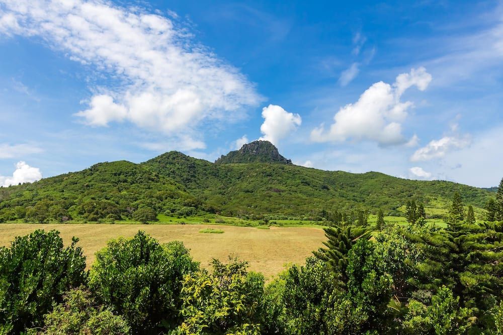 المظهر الخارجي