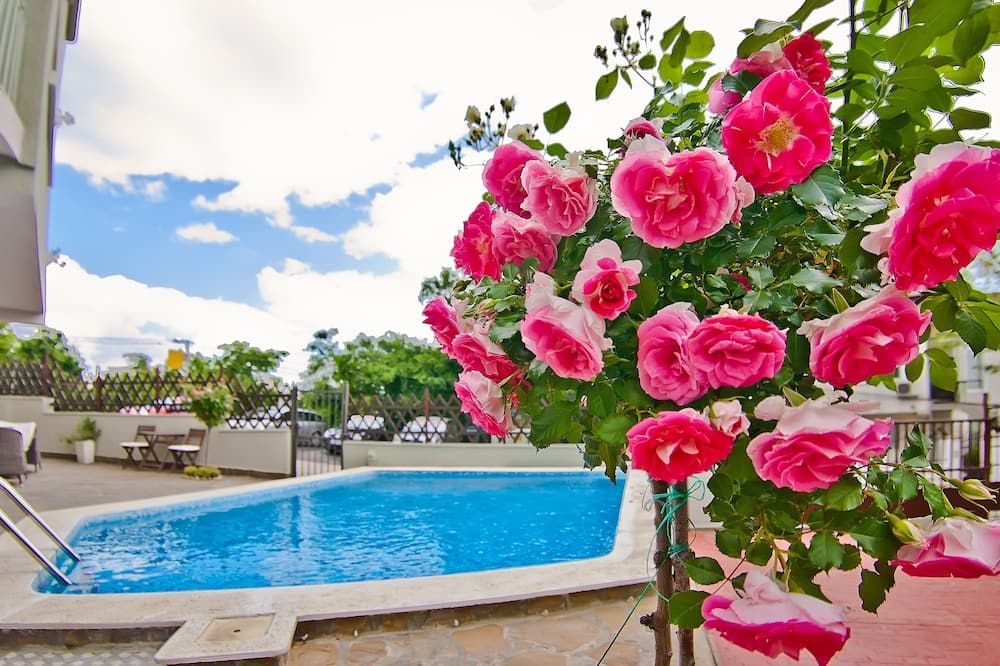 حوض السباحة