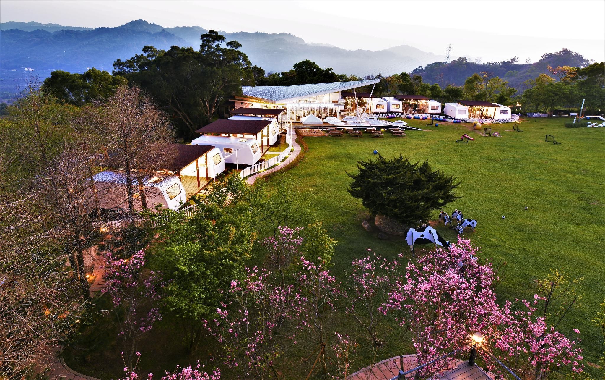 المظهر الخارجي