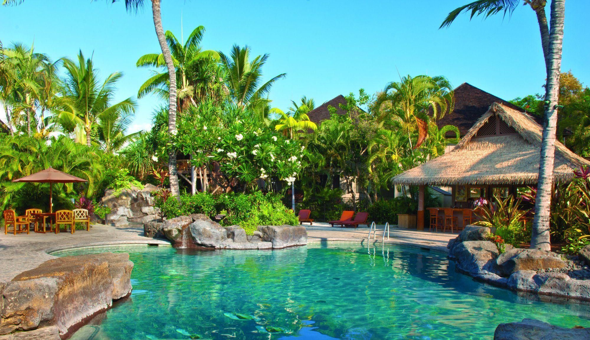 حوض السباحة