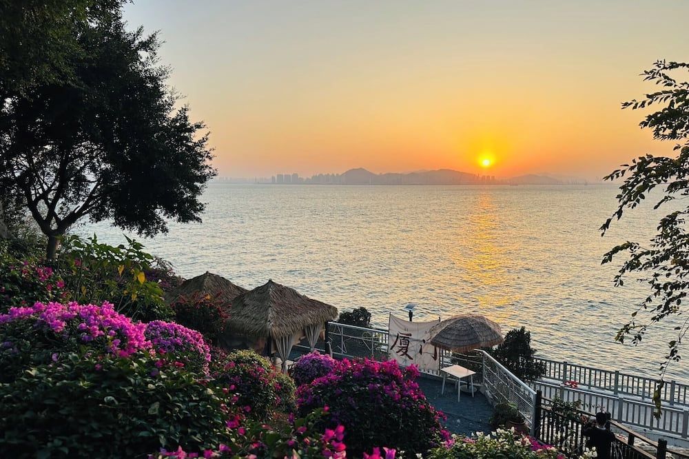 المظهر الخارجي