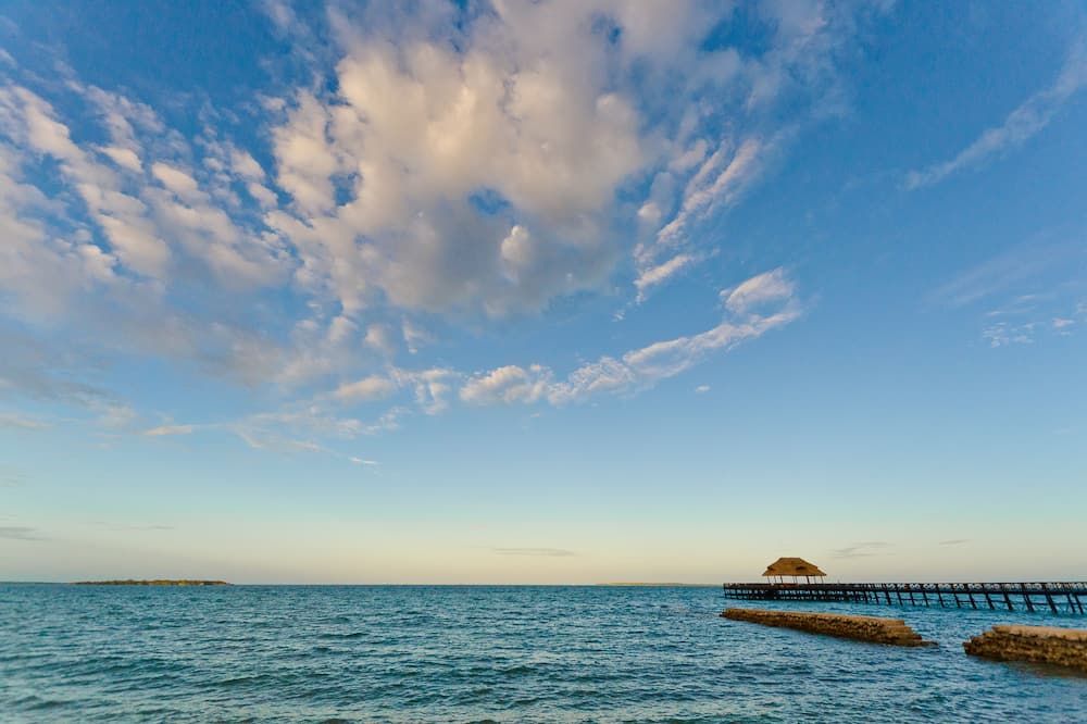 المظهر الخارجي