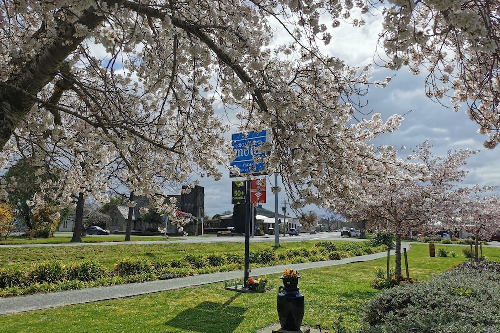 المظهر الخارجي