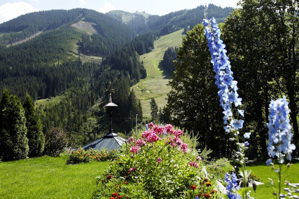 المظهر الخارجي