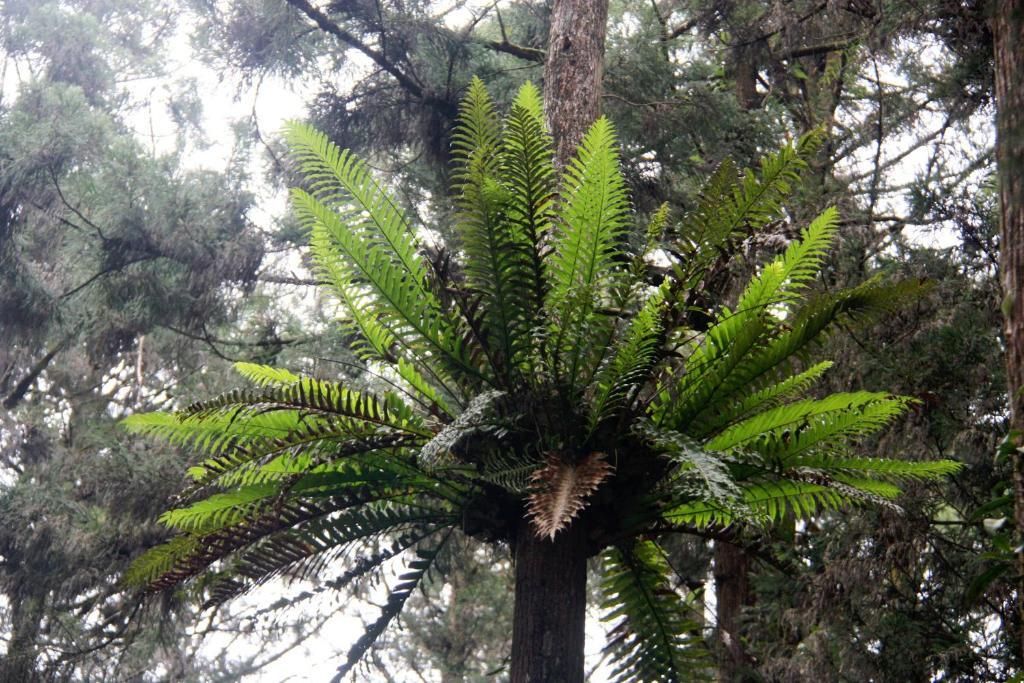 المظهر الخارجي